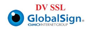 GlobalSign DV Wildcard SSL