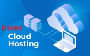 PRO HOSTING (P1000)