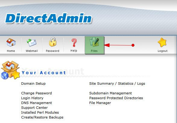 Mục Files Manager trên DirectAdmin