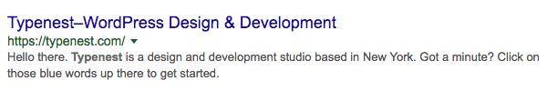 meta description typenest